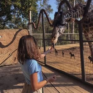 Meet your Posher, Adelle